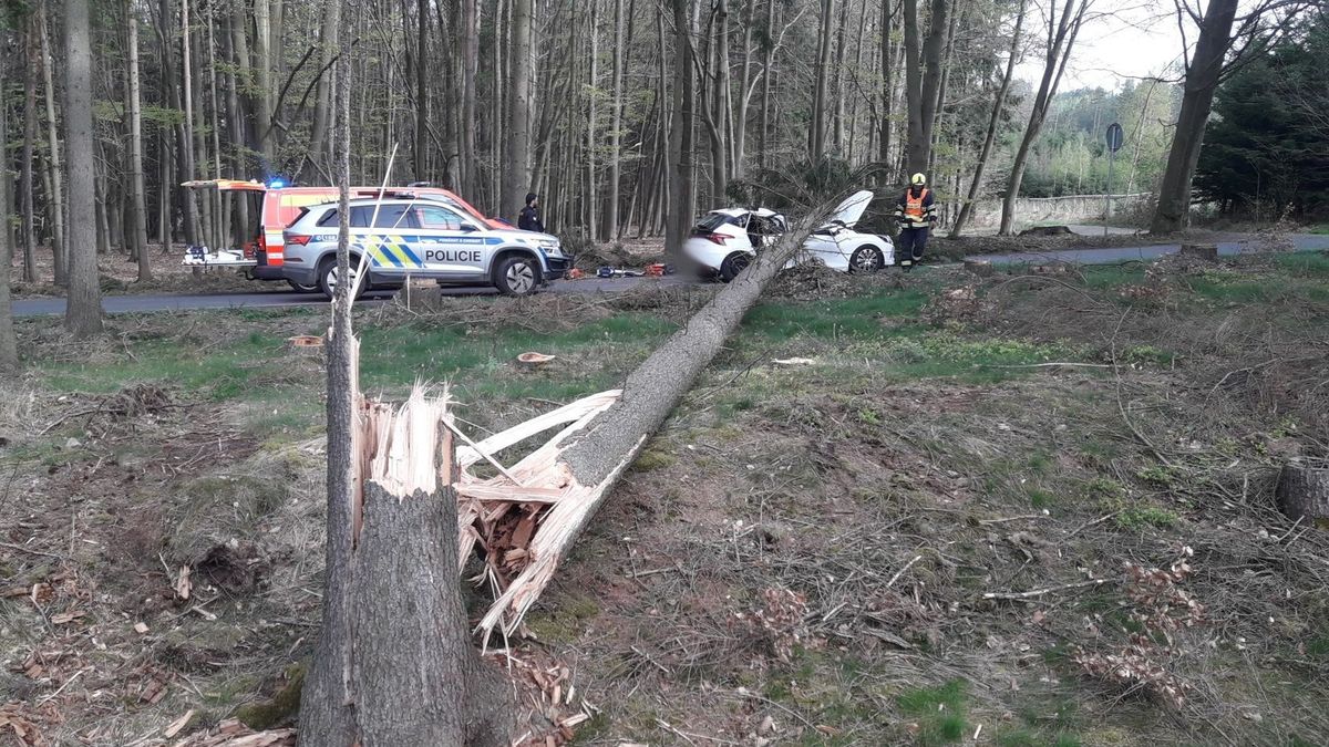 Na Rokycansku spadl strom přímo na projíždějící auto